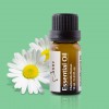 洋甘菊精油 Essential Oil - Chamomile Roman 10ml