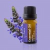 快樂鼠尾草精油 Essential Oil - Sage Clary 10ml