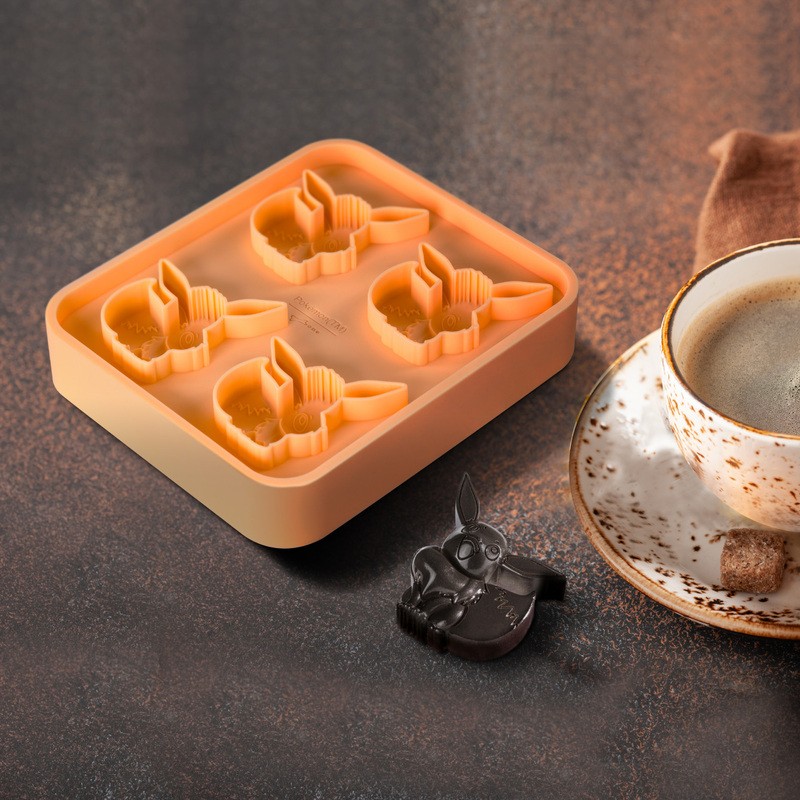 寶可夢-伊布 為了能瞬即適應環境的變化，這種寶可夢蘊含著許多種進化的可能性。