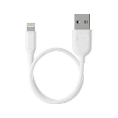 Lightning 傳輸線 (加購價) 