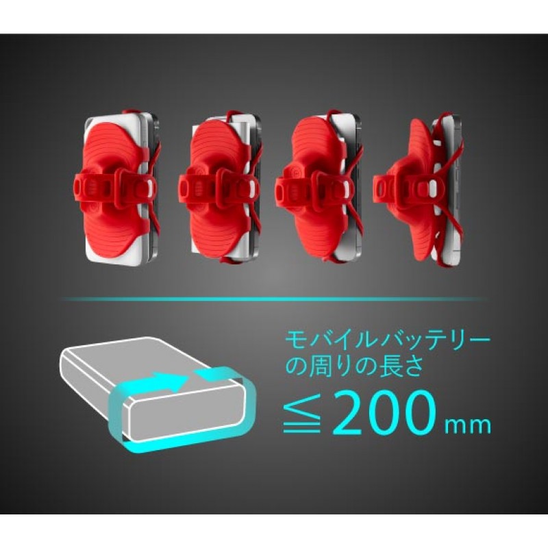 Bone Bike Tie Pro Pack 2 自転車用 バッテリー＆スマホホルダー